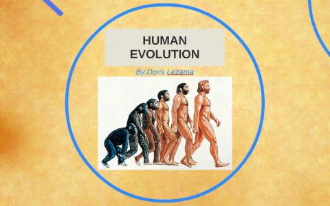 HUMAN EVOLUTION by Itzel lezama on Prezi