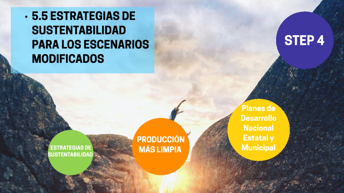 5.5 ESTRATEGIAS DE SUSTENTABILIDAD PARA LOS ESCENARIOS