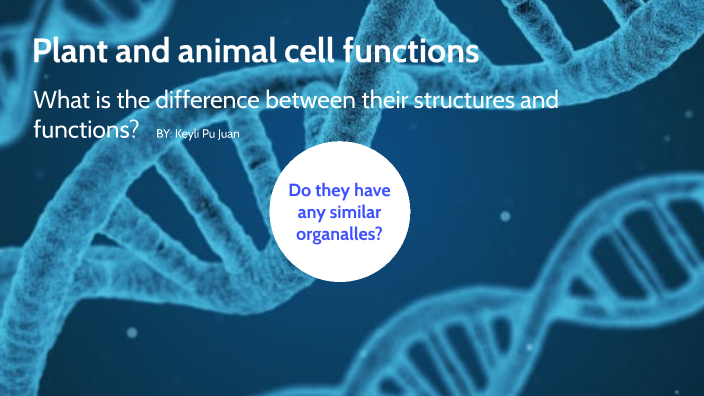 Plant and Animal cells project by Keyli Pu Juan on Prezi