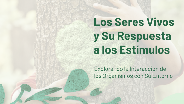 Responden A Estimulos Los Seres Vivos
