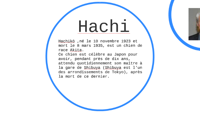 Hatchi By Hana Feki On Prezi