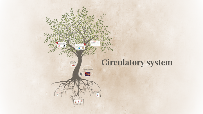 Circulatory system by mariana diaz on Prezi