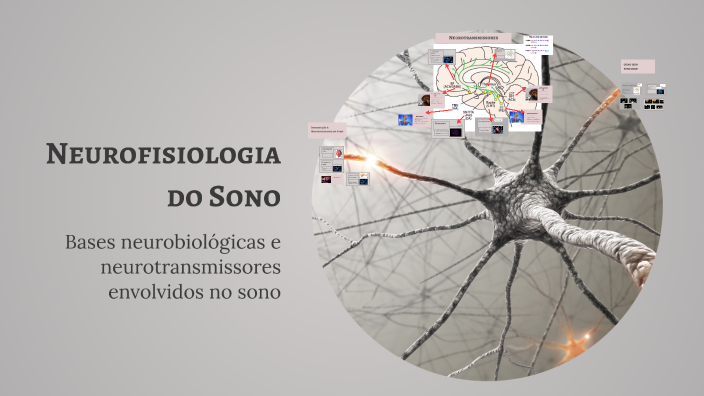 Neurofisiologia do Sono by ana carolina sobreira on Prezi