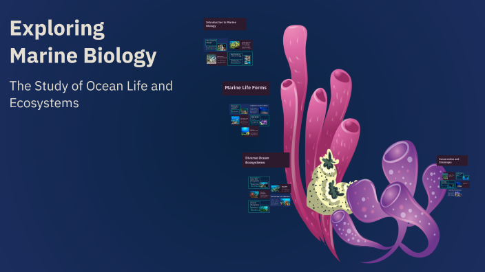 Exploring Marine Biology by Amelia Rose on Prezi