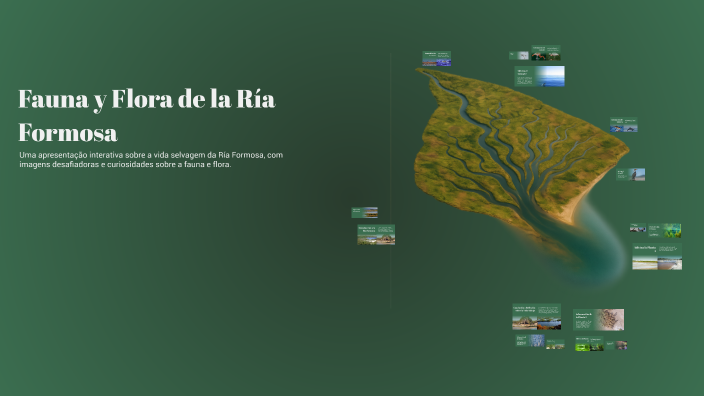 Fauna y Flora de la Ría Formosa by indira jimenez on Prezi