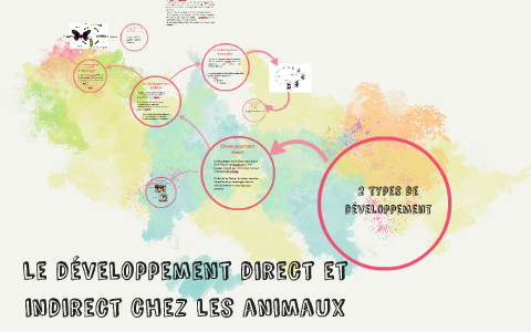 Le développement direct et indirect chez les animaux by Véronique ...