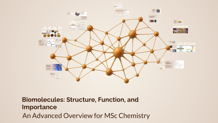 Biomolecules: Structure, Function, and Importance by thalluri chitti on ...