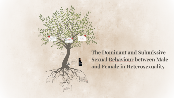 The Dominant and Submissive Gender Role of Male and Female in Sexual