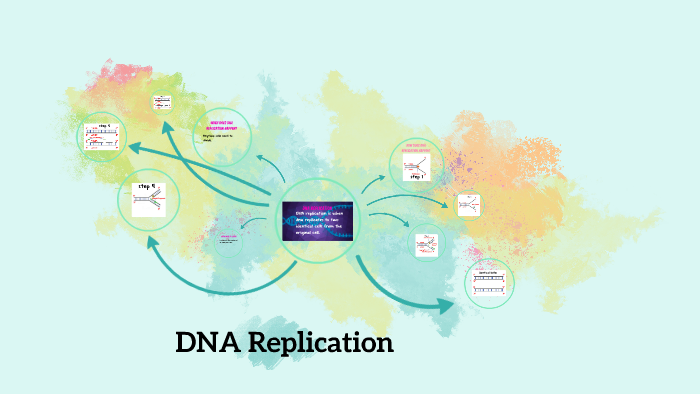 DNA replication by Danielle Howell on Prezi
