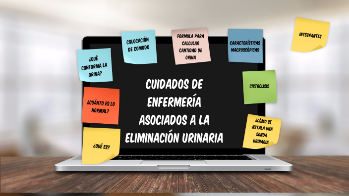 Cuidados De Enfermeria En Eliminacion Urinaria prezi.com