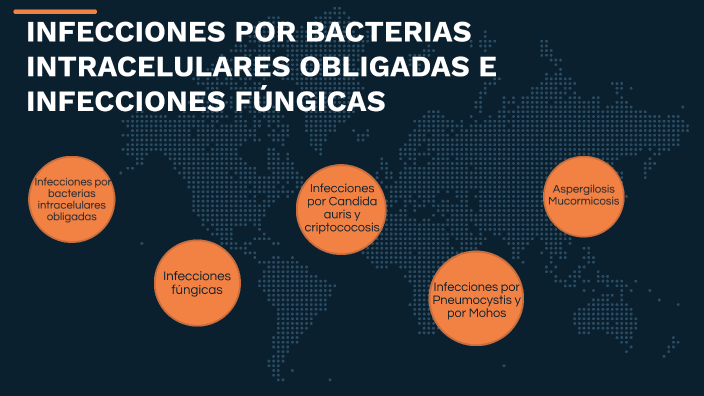 Infecciones por bacterias y fúngicas by Alex Hurtado on Prezi