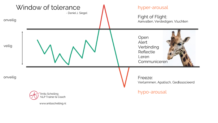 Window of Tolerance by Anita Schelling