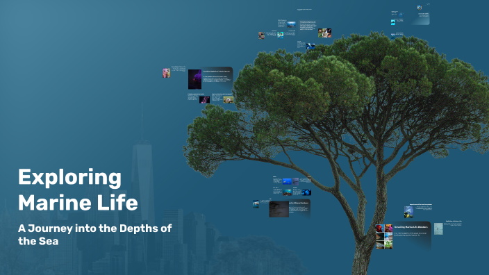 Exploring Marine Life by Sofia Garcia on Prezi