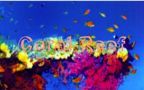 Coral Reef by Elizabeth Parke on Prezi