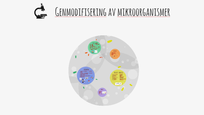 Genmodifisering Av Mikroorganismer By Silje Opg rd On Prezi genmodifisering-av-mikroorganismer-by-silje-opg-rd-on-prezi