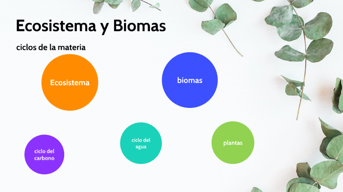 ecosistemas y biomas expofusion by celeste giron