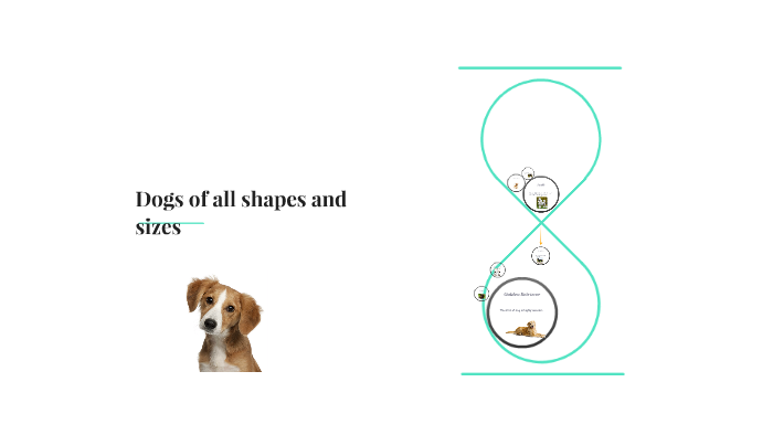 Dogs of all shapes and sizes by Kathleen Scott on Prezi