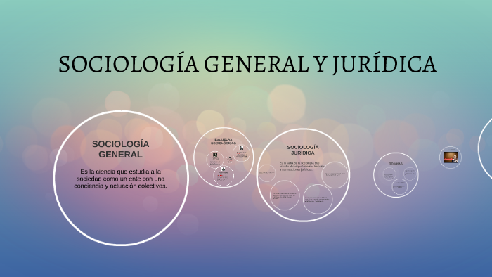 Relacion De La Sociologia Juridica Con La Sociologia General