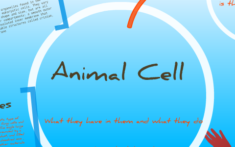 Animal cell power point by Christian Wilson on Prezi