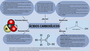 MAPA MENTAL DE LOS ÁCIDOS CARBOXÍLICOS by Daniela Salazar on Prezi Design