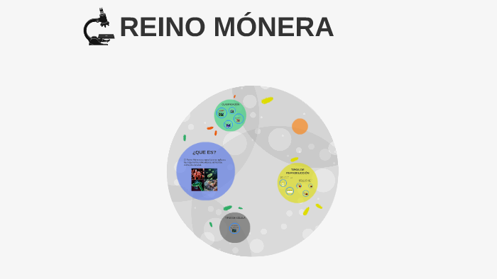 REINO MÓNERA by Maria Paz Ussa Suarez on Prezi