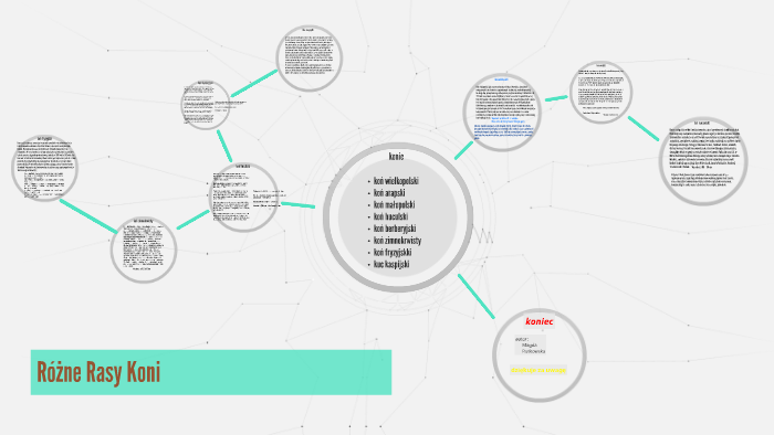 Konie By Magda Rutkowska On Prezi