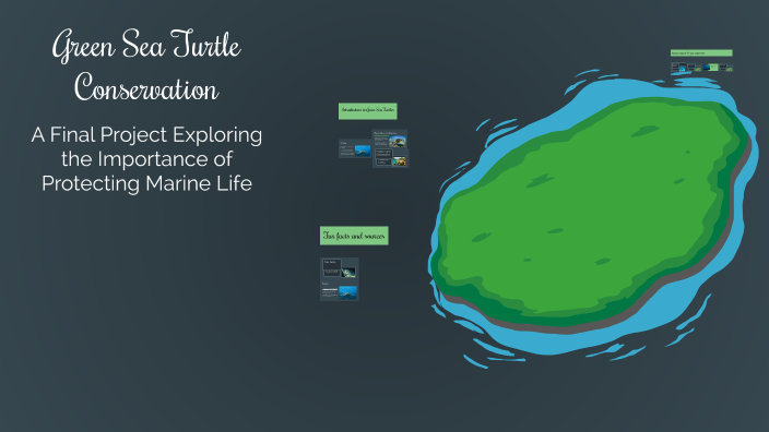 Green Sea Turtle Final project by Jonathan Dorsey '28 on Prezi