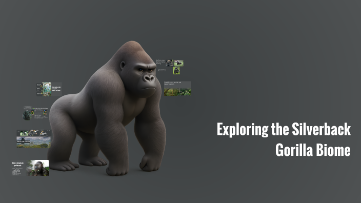 Exploring the Silverback Gorilla Biome by Grayson Brickner on Prezi