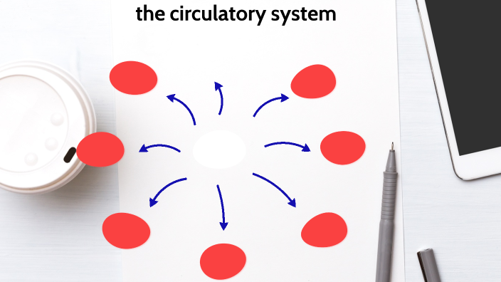 circlatory system by sara sultan on Prezi