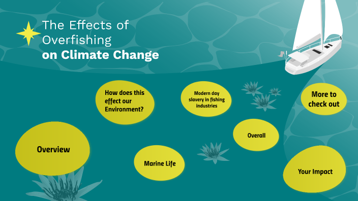 Overfishing effects on the environment by lily loewenguth on Prezi