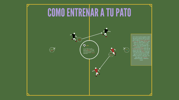 como entrenar a tu pato by joaquin pesce