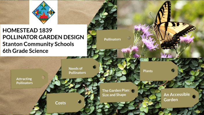 Pollinator Garden Design 6th Grade by Angie Embray on Prezi
