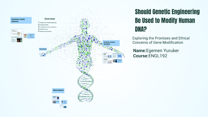 Should Genetic Engineering Be Used to Modify Human DNA? by egemen ...