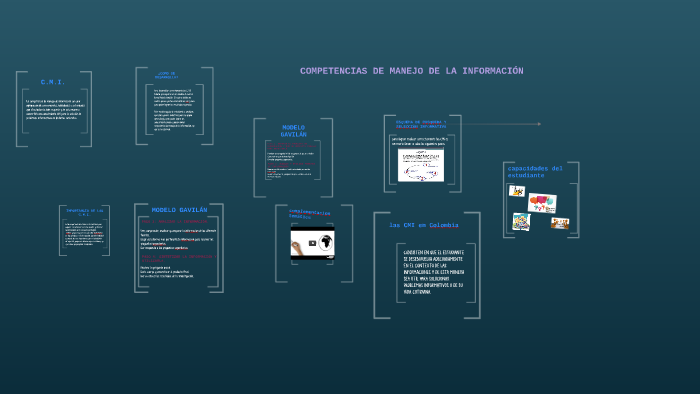 competencias de manejo de la información CMI by camila ferrucho