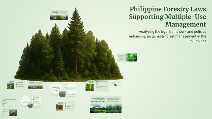 Multiple Use Foresty Philippine Forestry Laws Supporting Multiple-Use Management by Norania ...