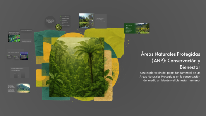 Áreas Naturales Protegidas (ANP): Conservación y Bienestar by FATIMA ...