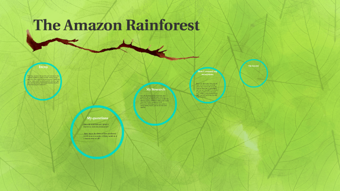 Amazon ecosystem by Catie K