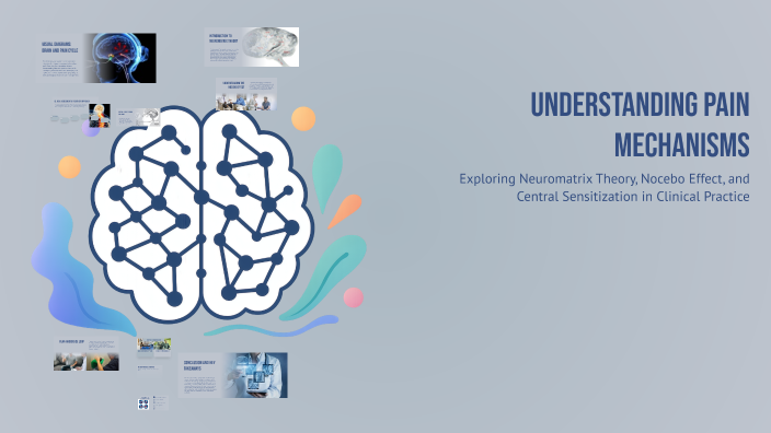 Understanding Pain Mechanisms by Ankita Jadeja on Prezi
