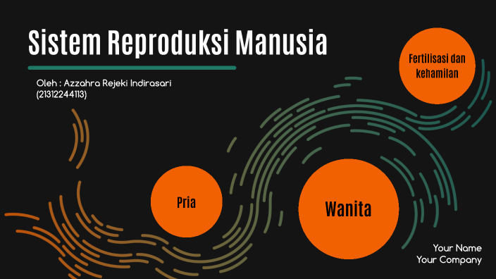 Sistem Reproduksi Manusia By Azzahra Rejeki Indirasari On Prezi