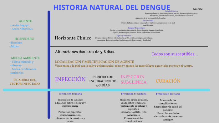 Historia Natural Del Dengue By Mateo Ezequiel Lozano On Prezi