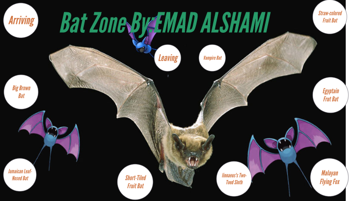 Organization for Bat Conservation by Emad Alshami