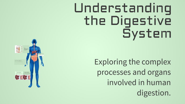 Understanding the Digestive System by Princess Avila on Prezi