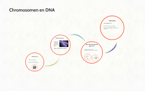 Celkern, chromosomen en DNA by Mark van Loenen