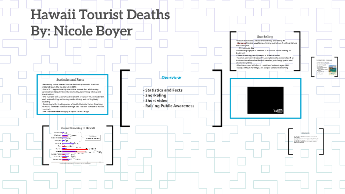 hawaii tourist deaths 2023