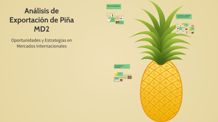 Análisis de Exportación de Piña MD2 by caro sol on Prezi