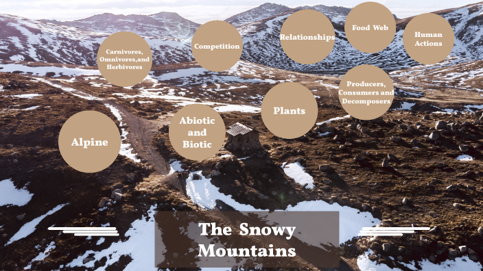 mountain ecosystem pictures