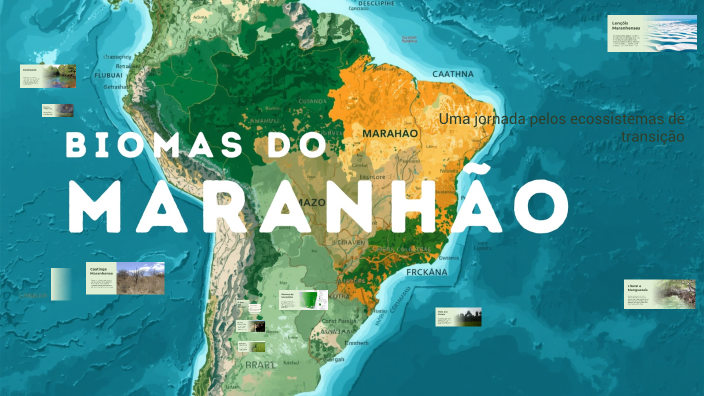Biomas do Maranhão: Riqueza Natural e Desafios by Enzo Gabriel ...