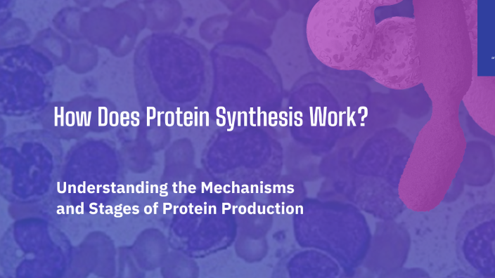 How Does Protein Synthesis Work? by Kyler Aaltomaa on Prezi