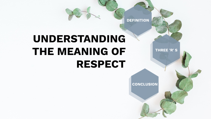 meaning of respect in english language