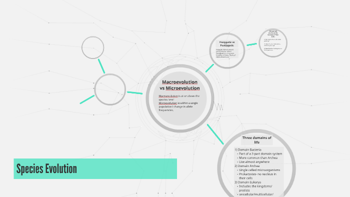 Macroevolution vs Microevolution by candice casqueira on Prezi